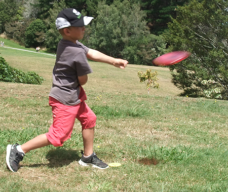 Disc Golf New Zealand